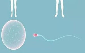 试管胚胎移植后一开始hcg翻倍多但后期少是怎么回事呢？