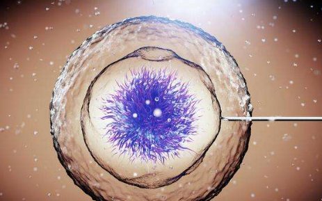 试管婴儿移植后胚胎着床早和着床晚有什么区别？