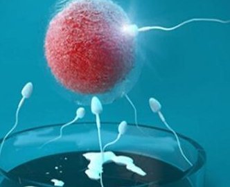 冷冻胚胎移植前可以同房吗？冷冻胚胎移植前要做几次B超？